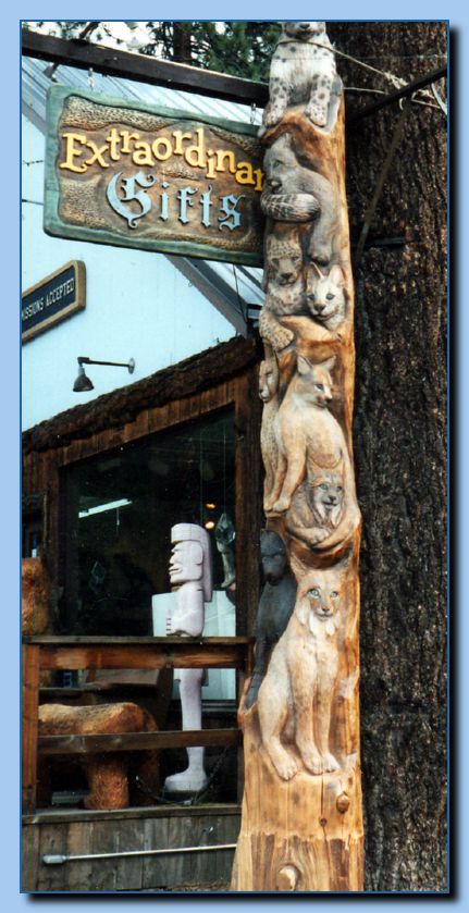 2-13 vertical cat collage-archive-0001